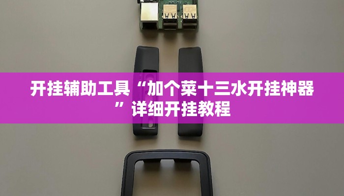实测教程”德扑之星开挂辅助”(详细开挂教程)
