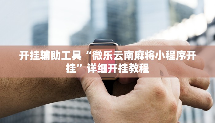 实测教程”WePoker德州透视作弊挂教程”(详细开挂教程)