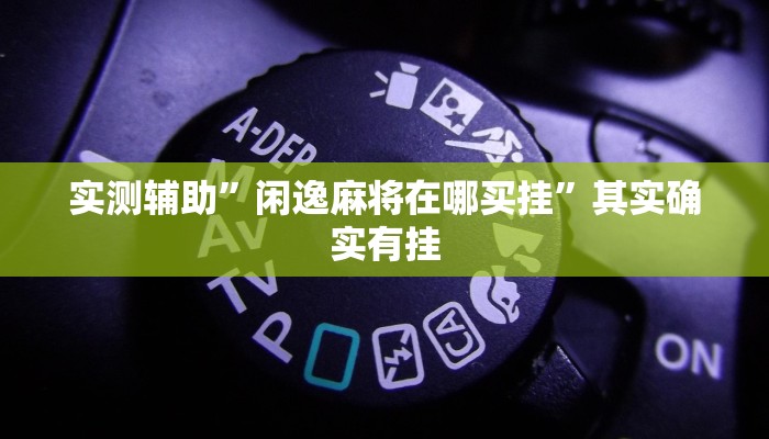 实测教程”乐乐川南字牌辅助器”(详细开挂教程)