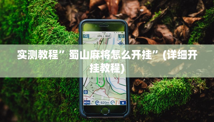 推荐一款“胜奕填大坑透视软件”其实确实有挂