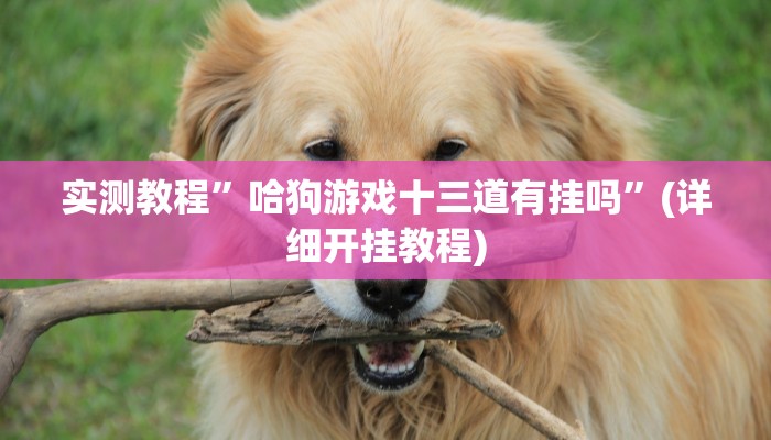 教程辅助!“青鸟大厅拼三张透视挂”其实确实有挂