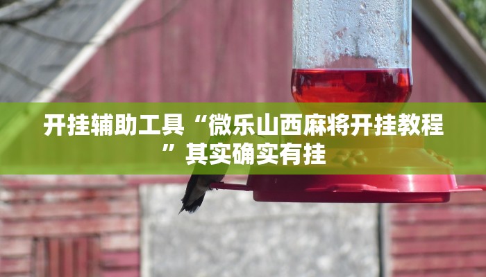 实测教程”WePoker俱乐部挂怎么安装”(详细开挂教程)