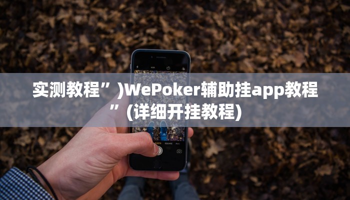 实测教程”家乡大贰开挂教程”(详细开挂教程)