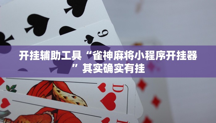 实测教程”微乐麻将辅助开挂”(详细开挂教程)