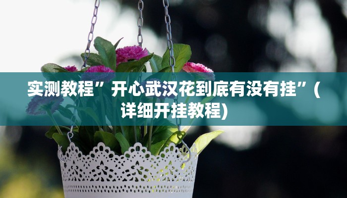 实测教程”开心武汉花到底有没有挂”(详细开挂教程)