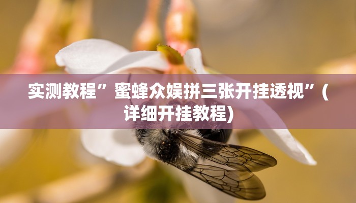 实测教程”呗兔互娱可以开挂吗”(详细开挂教程)