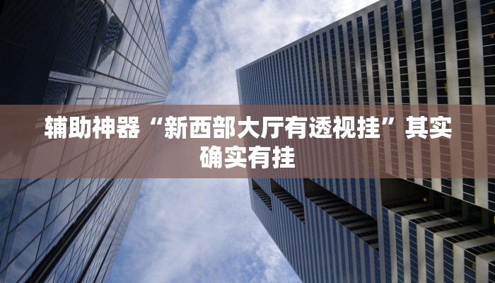 推荐一款“德州局WePoker开挂辅助作弊”其实确实有挂