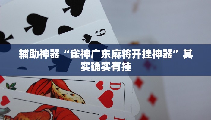 实测教程”wepoker德州局辅助挂软件”(详细开挂教程)
