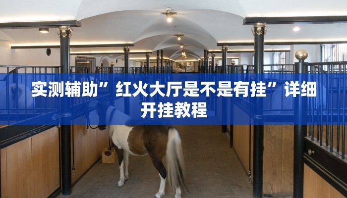 实测教程”哈灵麻将外卦神器使用方法”(详细开挂教程)