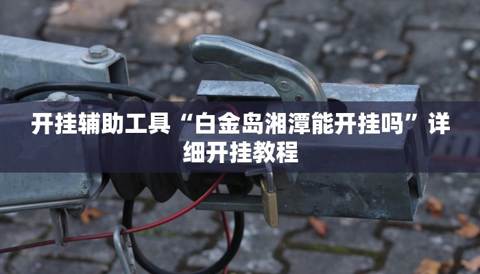 实测辅助”皇豪互娱透视开挂神器”其实确实有挂