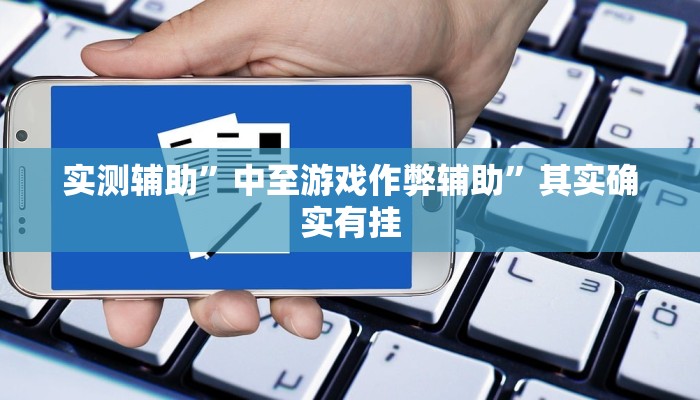 实测辅助”中至游戏作弊辅助”其实确实有挂