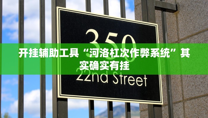 开挂辅助工具“河洛杠次作弊系统”其实确实有挂