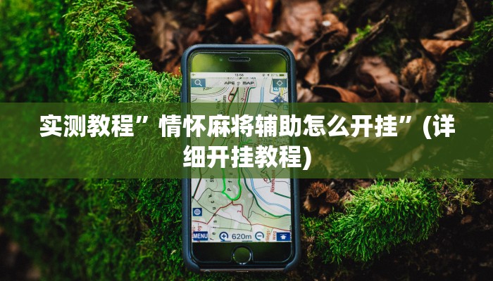 实测教程”情怀麻将辅助怎么开挂”(详细开挂教程)