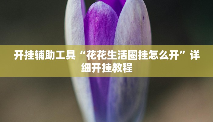 开挂辅助工具“花花生活圈挂怎么开”详细开挂教程