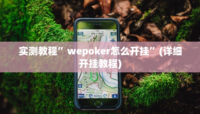 实测教程”wepoker怎么开挂”(详细开挂教程)