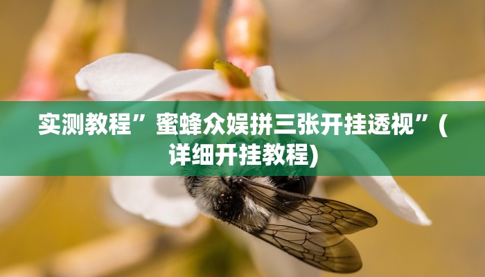 实测教程”蜜蜂众娱拼三张开挂透视”(详细开挂教程)