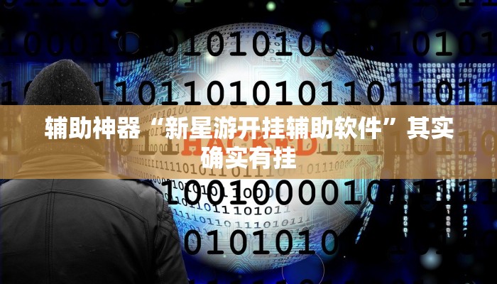 辅助神器“新星游开挂辅助软件”其实确实有挂