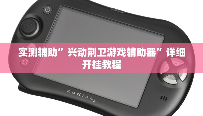 实测辅助”兴动荆卫游戏辅助器”详细开挂教程