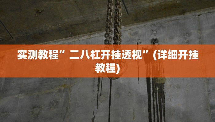 实测教程”二八杠开挂透视”(详细开挂教程)
