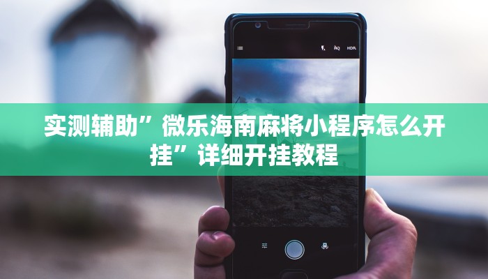 实测辅助”微乐海南麻将小程序怎么开挂”详细开挂教程