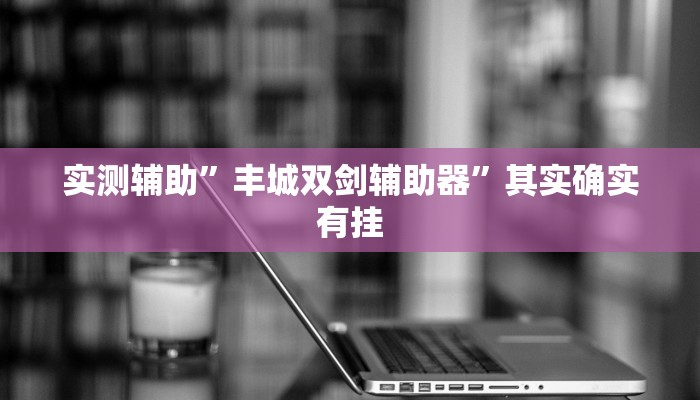 实测辅助”丰城双剑辅助器”其实确实有挂