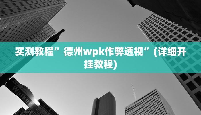 实测教程”德州wpk作弊透视”(详细开挂教程)