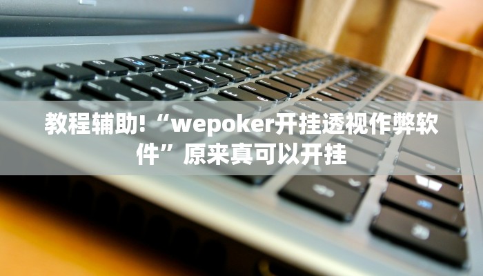 教程辅助!“WPK德州透视辅助器”原来真可以开挂