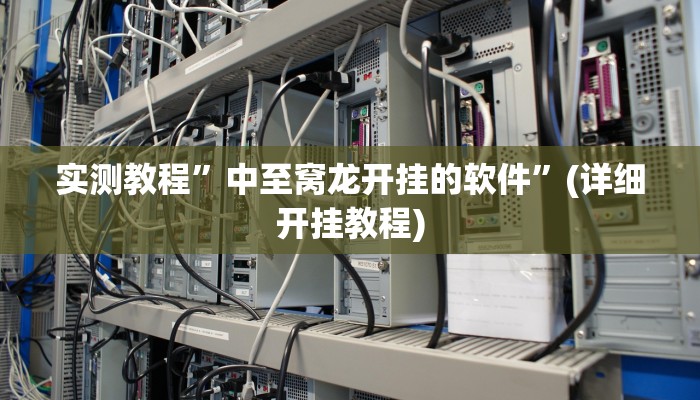 实测教程”中至窝龙开挂的软件”(详细开挂教程)