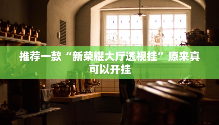 实测教程”wepoker辅助方法”(详细开挂教程)