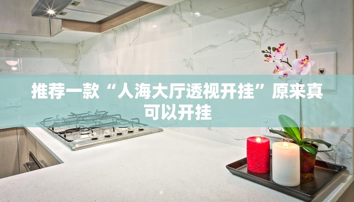 推荐一款“人海大厅透视开挂”原来真可以开挂