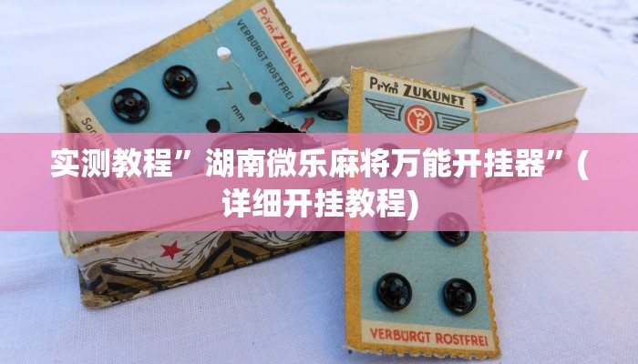 实测教程”湖南微乐麻将万能开挂器”(详细开挂教程)