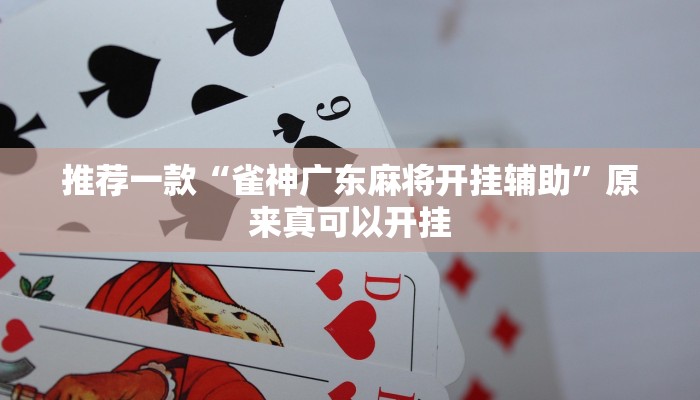 实测教程”新青鸟大厅有透视挂吗”(详细开挂教程)