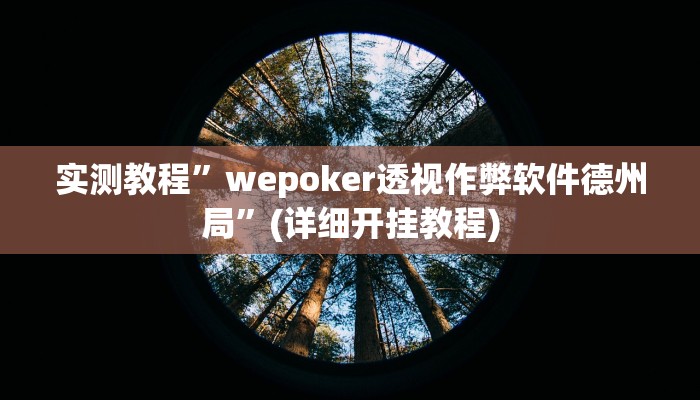实测教程”wepoker透视作弊软件德州局”(详细开挂教程)