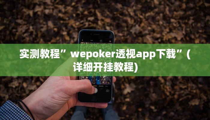 实测教程”wepoker透视app下载”(详细开挂教程)
