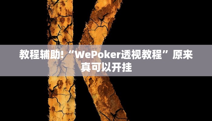 教程辅助!“WePoker透视教程”原来真可以开挂