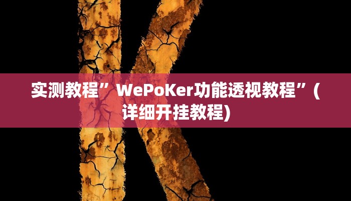 实测教程”WePoKer功能透视教程”(详细开挂教程)
