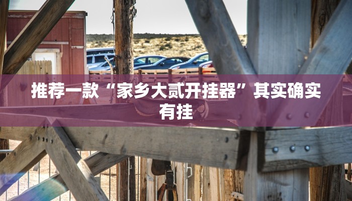 推荐一款“家乡大贰开挂器”其实确实有挂