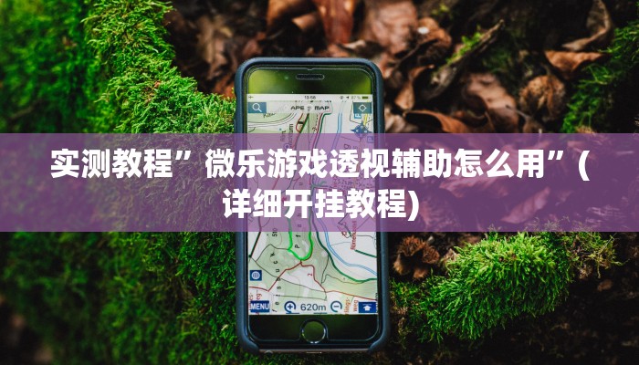 实测教程”微乐游戏透视辅助怎么用”(详细开挂教程)