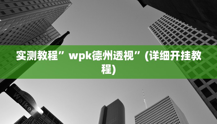 实测教程”wpk德州透视”(详细开挂教程)