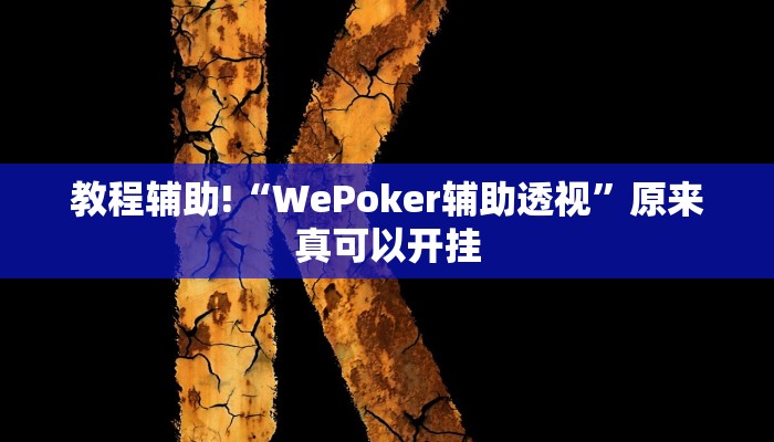 教程辅助!“WePoker辅助透视”原来真可以开挂