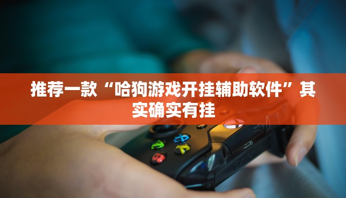 推荐一款“哈狗游戏开挂辅助软件”其实确实有挂