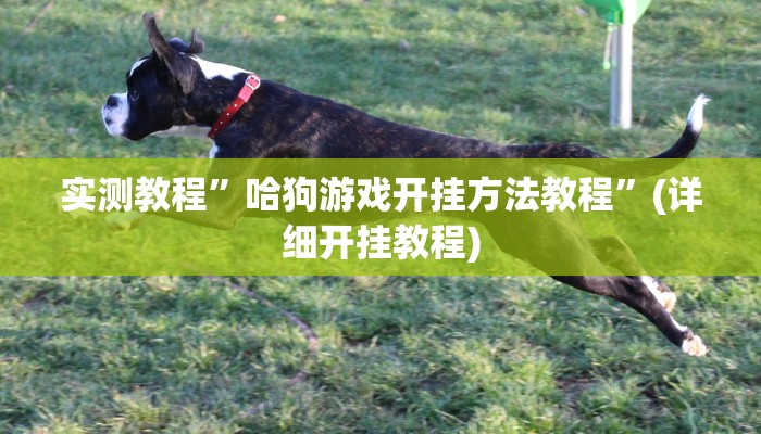 实测教程”哈狗游戏开挂方法教程”(详细开挂教程)