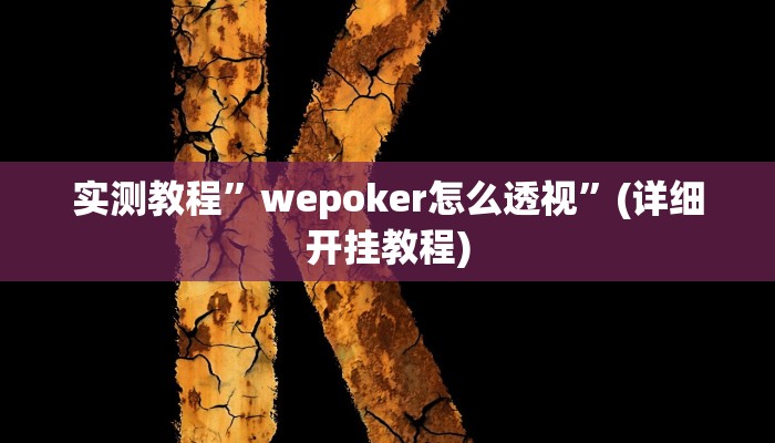 实测教程”wepoker怎么透视”(详细开挂教程)