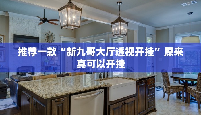 推荐一款“新九哥大厅透视开挂”原来真可以开挂
