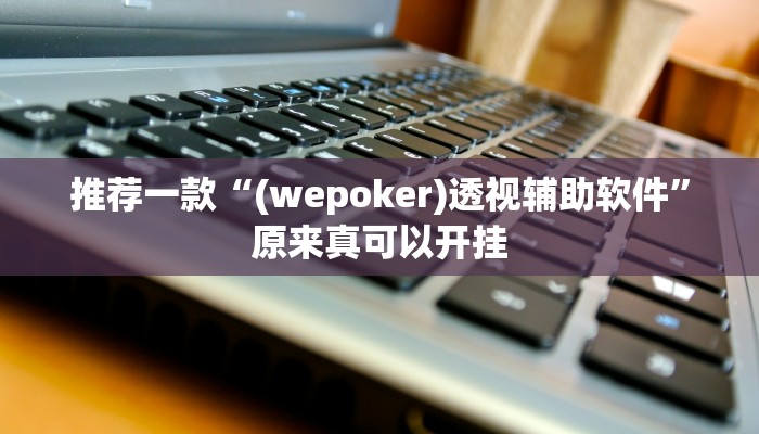 推荐一款“(wepoker)透视辅助软件”原来真可以开挂