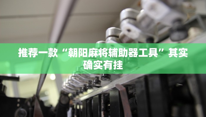 推荐一款“朝阳麻将辅助器工具”其实确实有挂