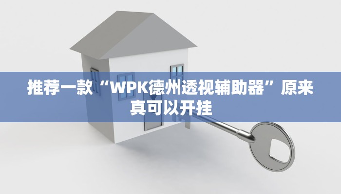 推荐一款“WPK德州透视辅助器”原来真可以开挂