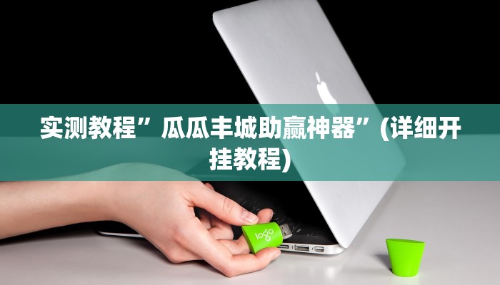 实测教程”瓜瓜丰城助赢神器”(详细开挂教程)