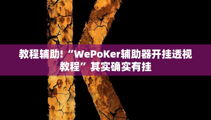 教程辅助!“WePoKer辅助器开挂透视教程”其实确实有挂