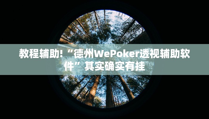 教程辅助!“德州WePoker透视辅助软件”其实确实有挂